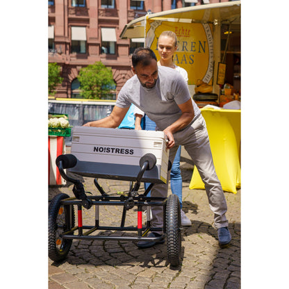 3s-move Multifunktions Fahrrad Anhänger 2.0 für SUP Kajak und Freizeit