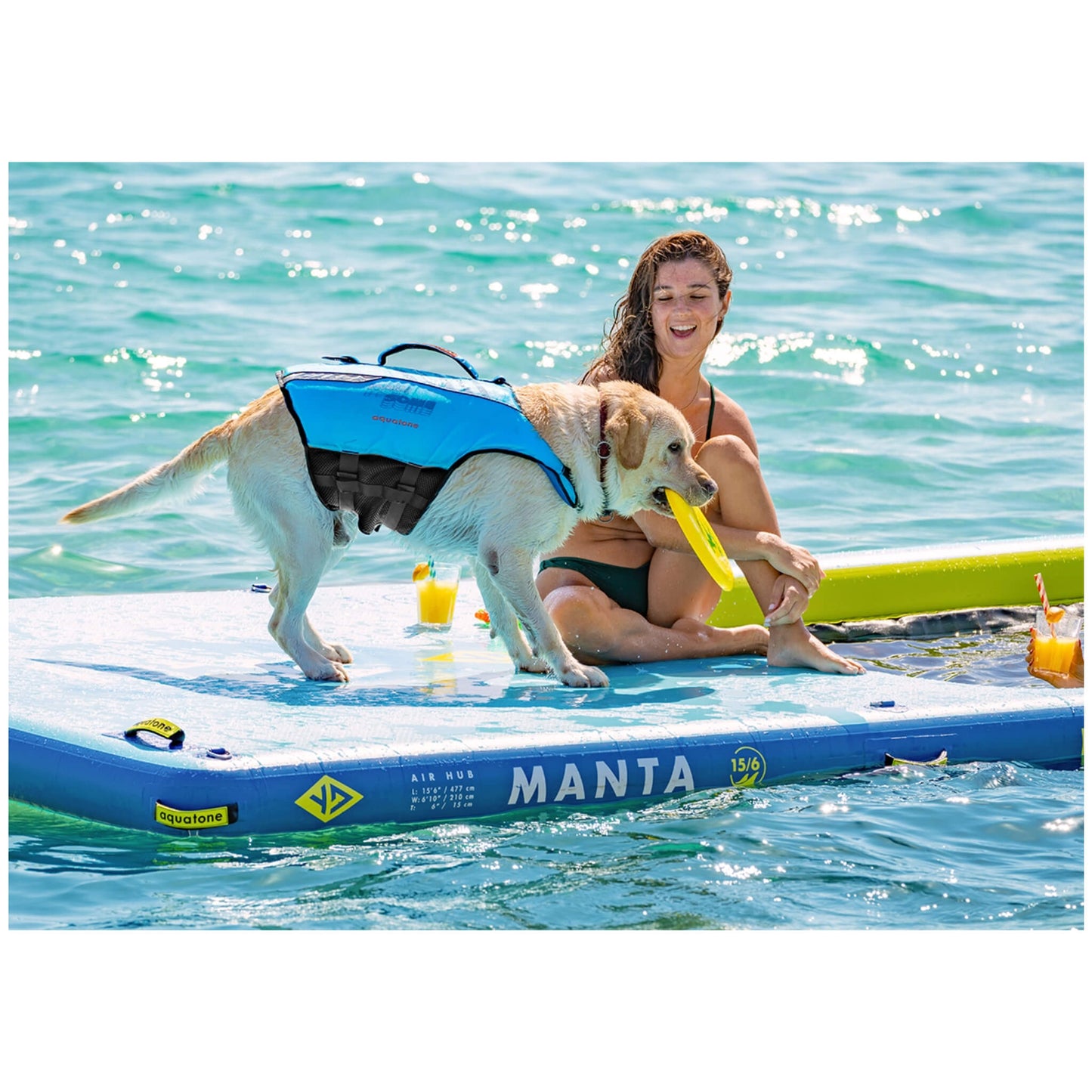 Aquatone Pawsome Hunde Schwimmweste mit Griff blau