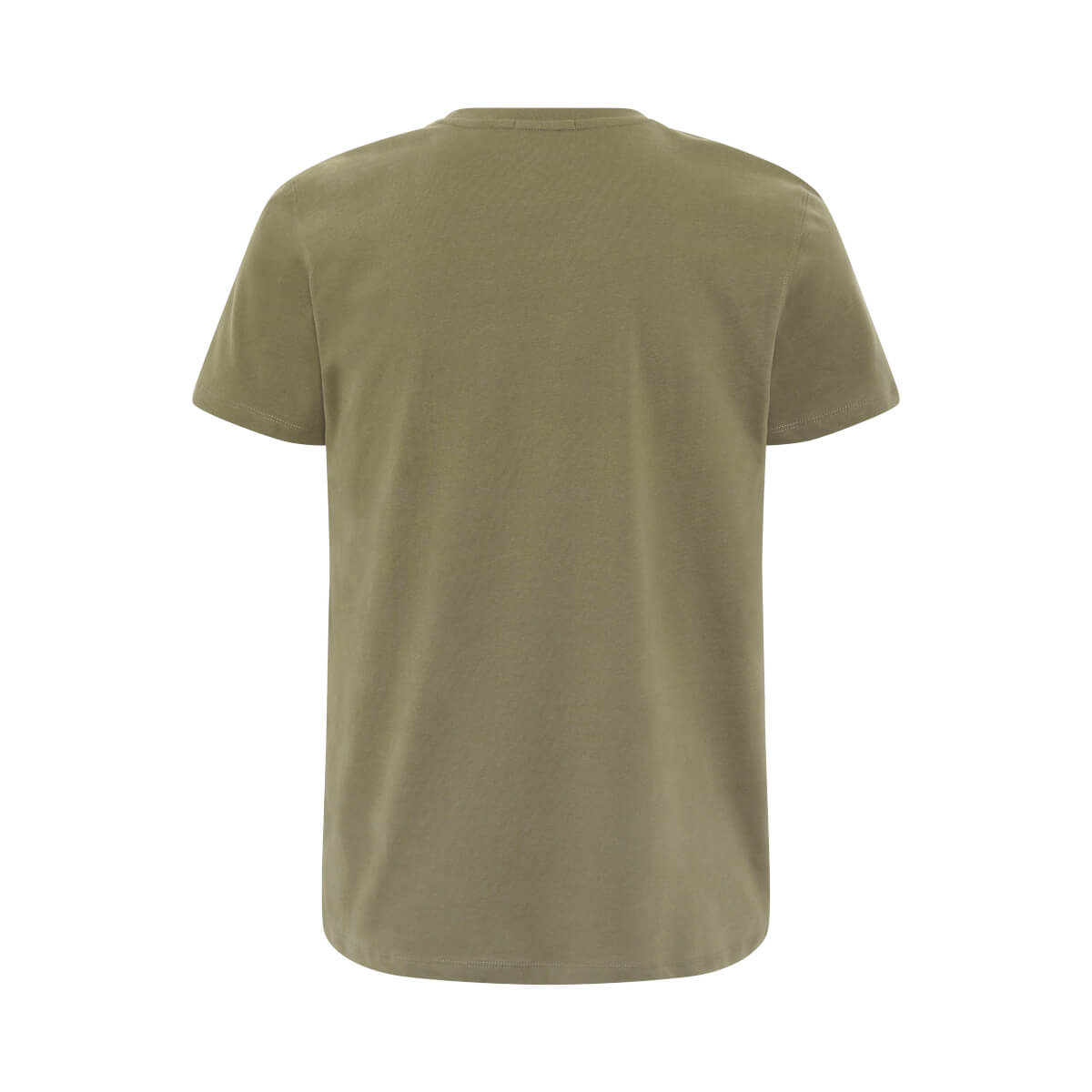 Chiemsee Papai T-Shirt grün